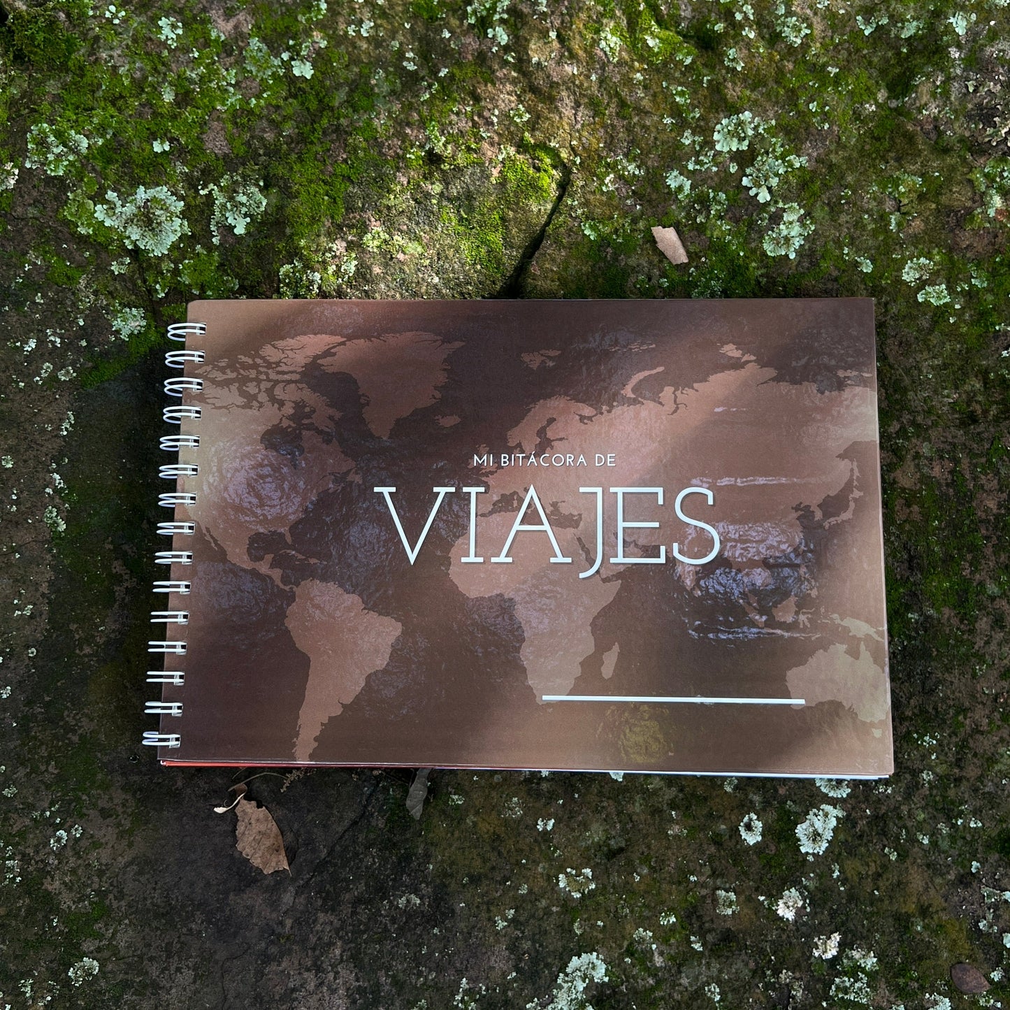 Bitácora de Viajes Internacionales Grandes