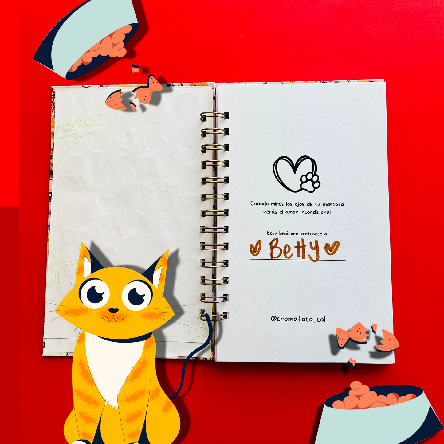 Bitácora para Gatitos🐾😺