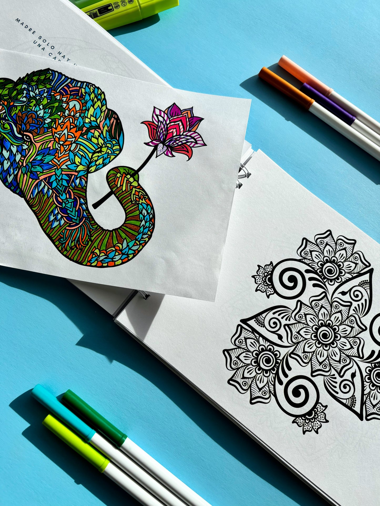 Libro de mandalas