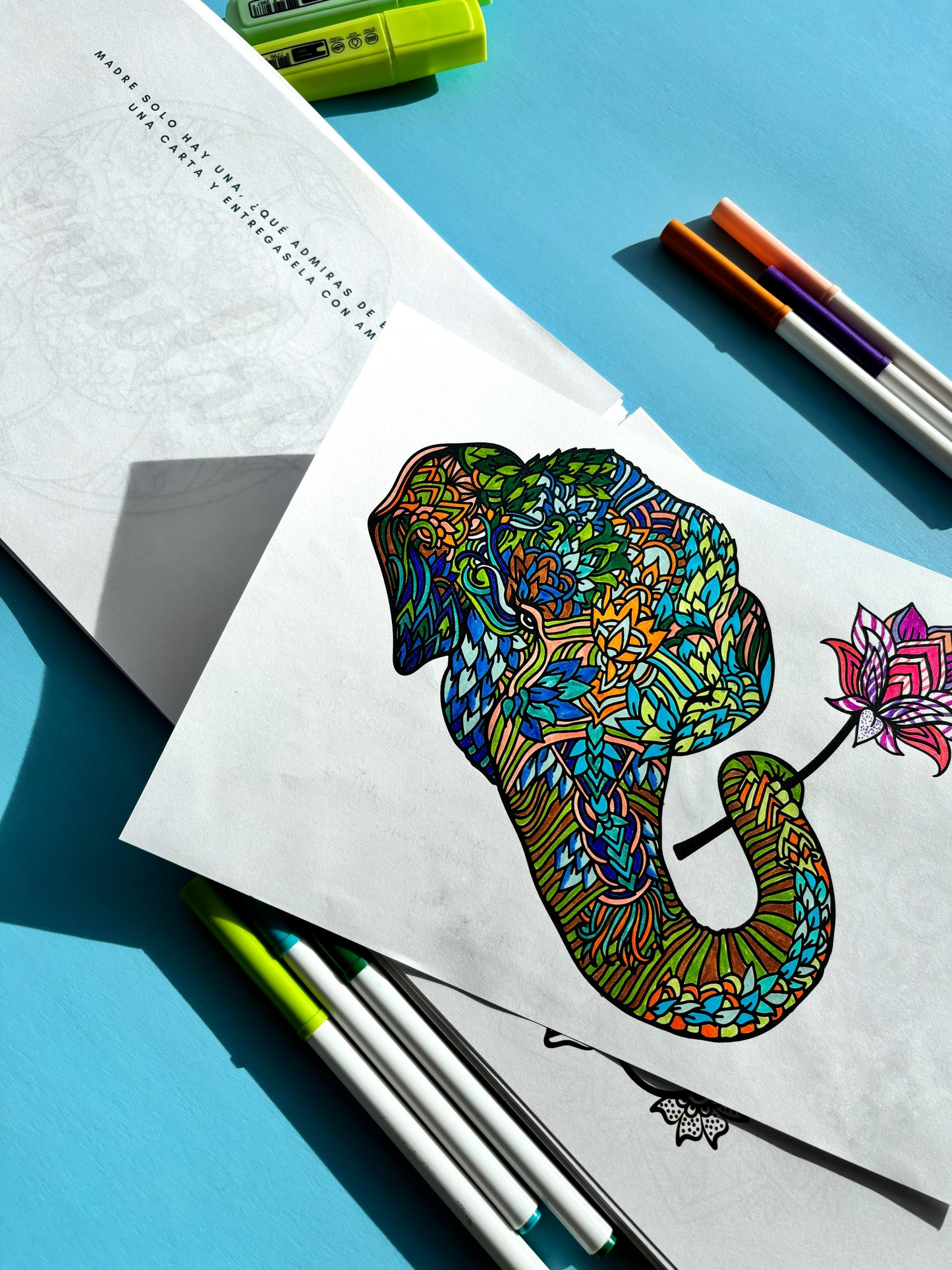 Libro de mandalas