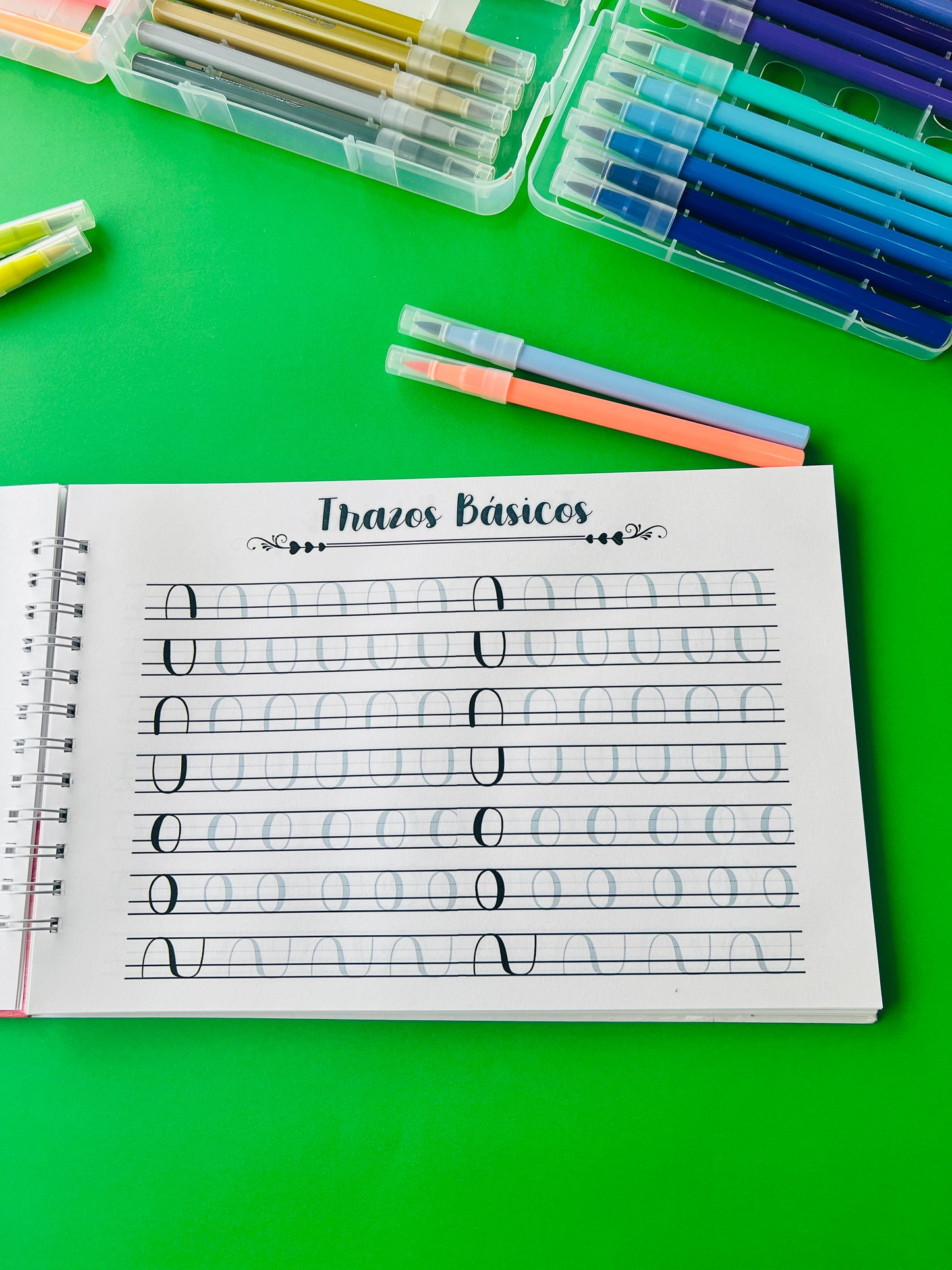 Libro de lettering