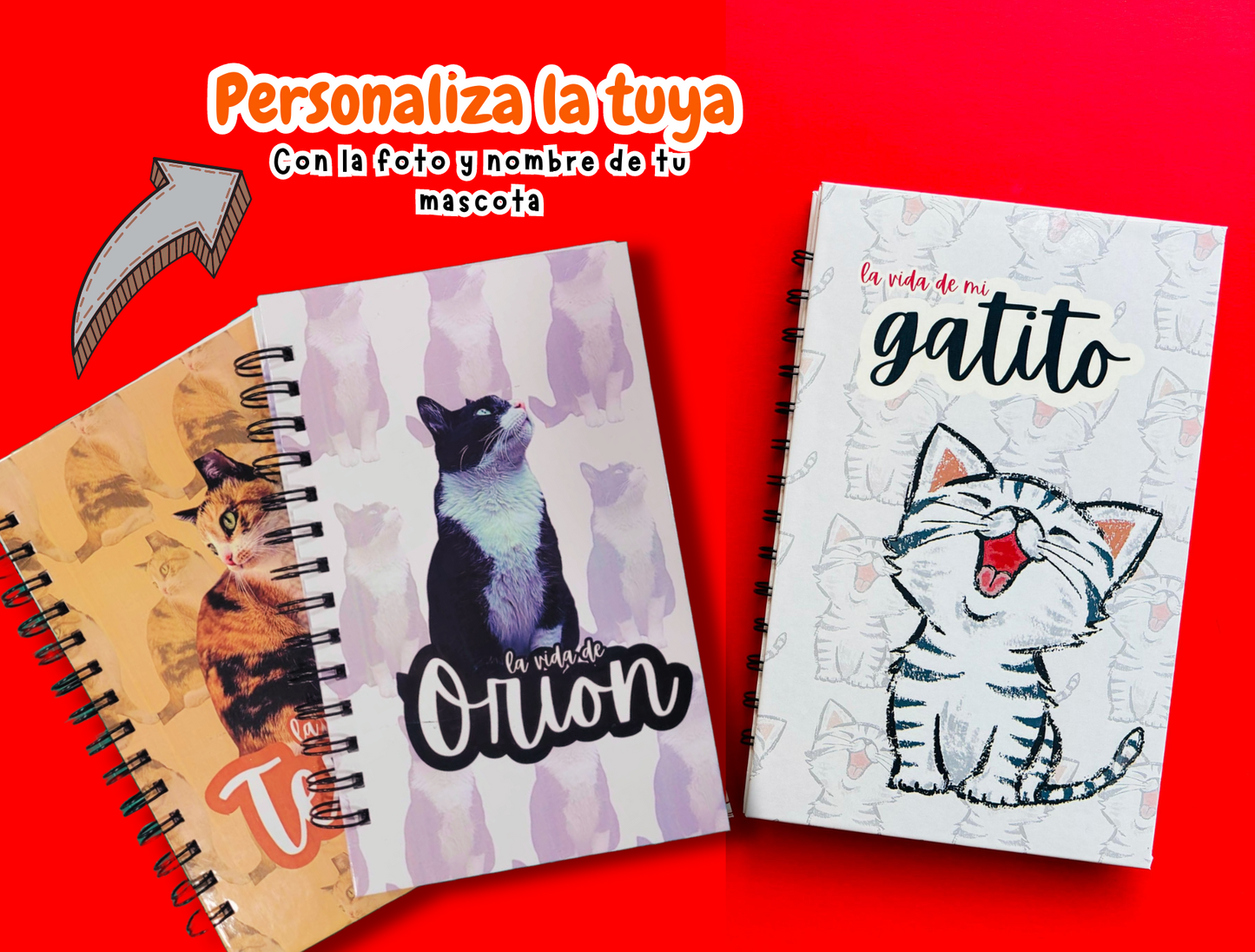 Bitácora para Gatitos🐾😺
