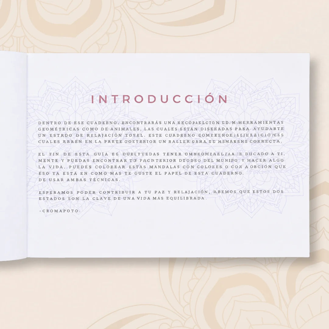 Libro de mandalas