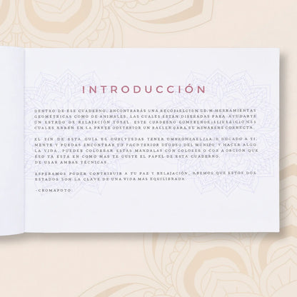 Libro de mandalas